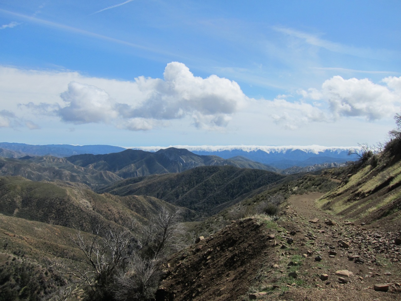 DylanLovesBikes Condors take flight! 2012