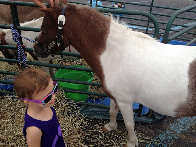 baby petting a pony