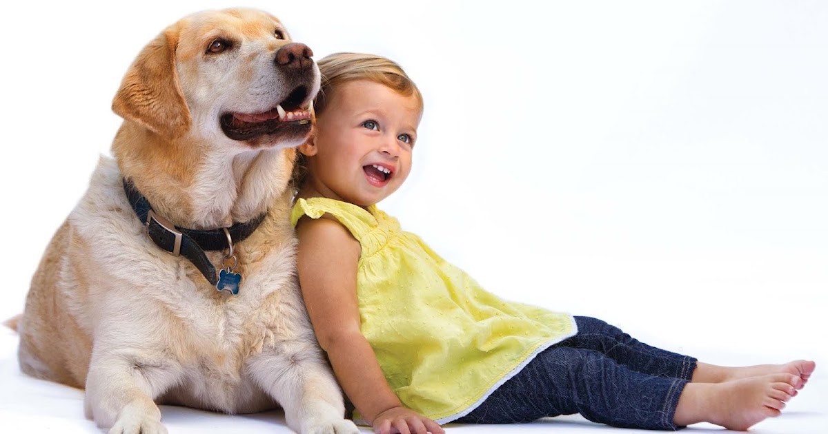 Köpek Maması Uygun Fiyatlı Köpek Mamaları