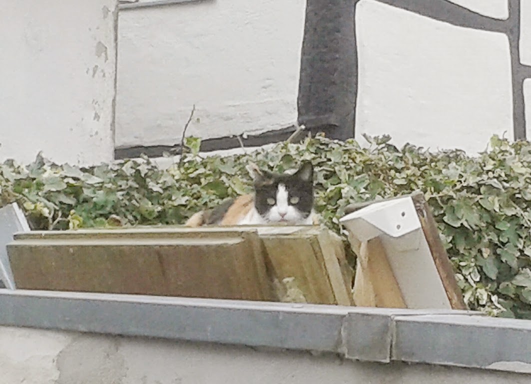 Stempelsucht Und Trodelwahnsinn April 2015