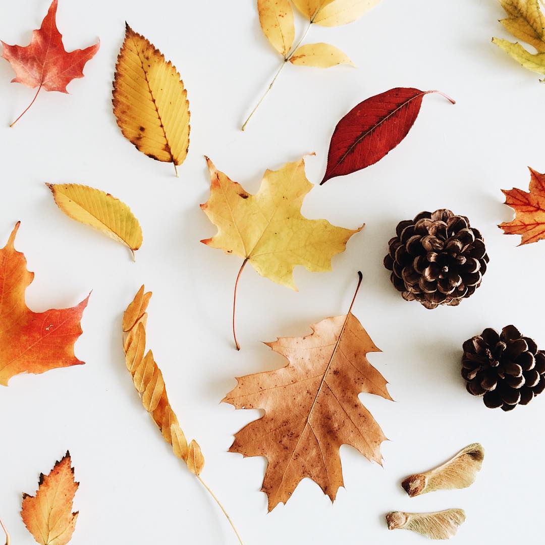 twentyventi: Inviting Autumn into our Daily Themes