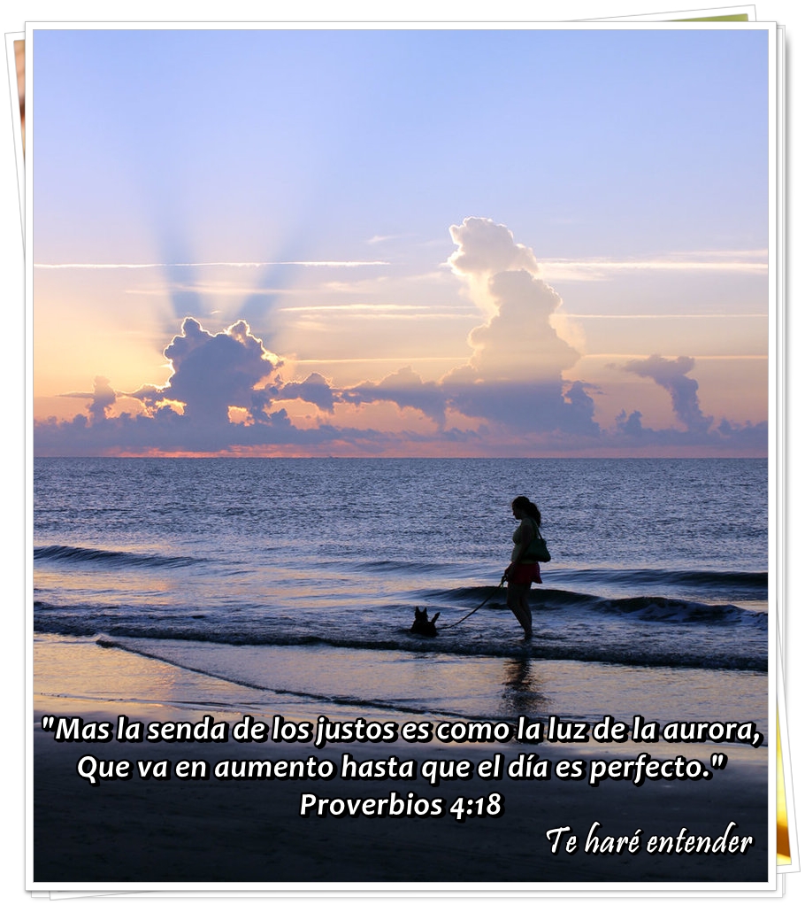 Te Haré Entender...: COMO LA LUZ DEL DIA