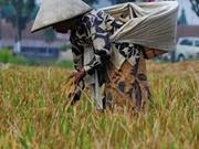 LIRIK LAGU BURUH TANI MAHASISWA RAKYAT MISKIN KOTA - AN FISIP USU