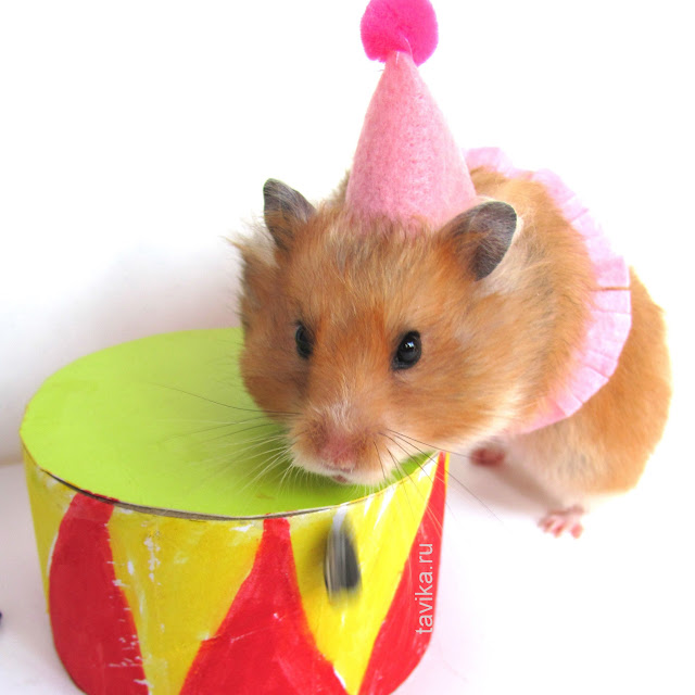 Цирк своими руками. 