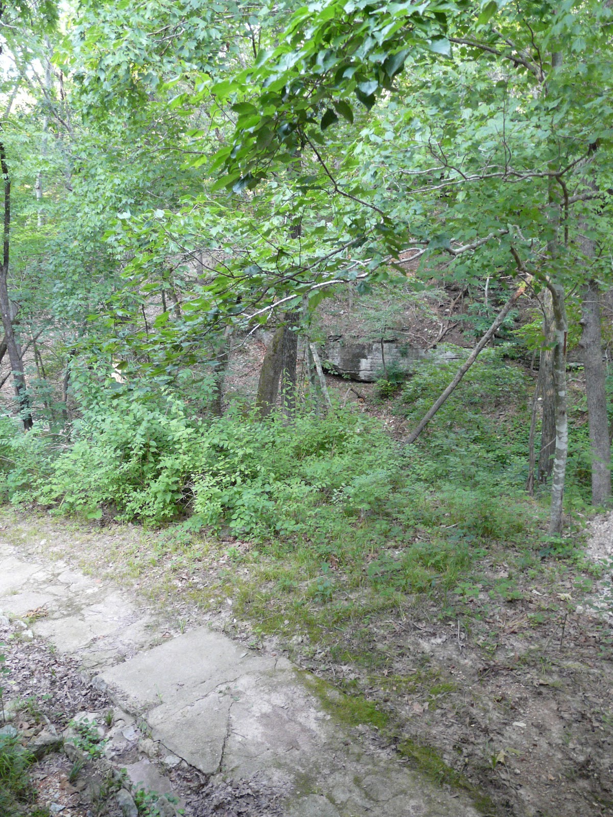 Archiving throughout Arizona, New Mexico, Oklahoma, and Texas Ozark