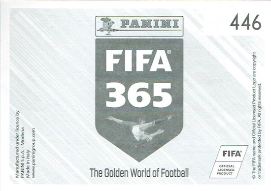 Panini FIFA365 2019 Real Madrid CF FIFA Club world cup Sticker 457 