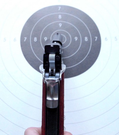 Armas de Fuego: Falcon Master