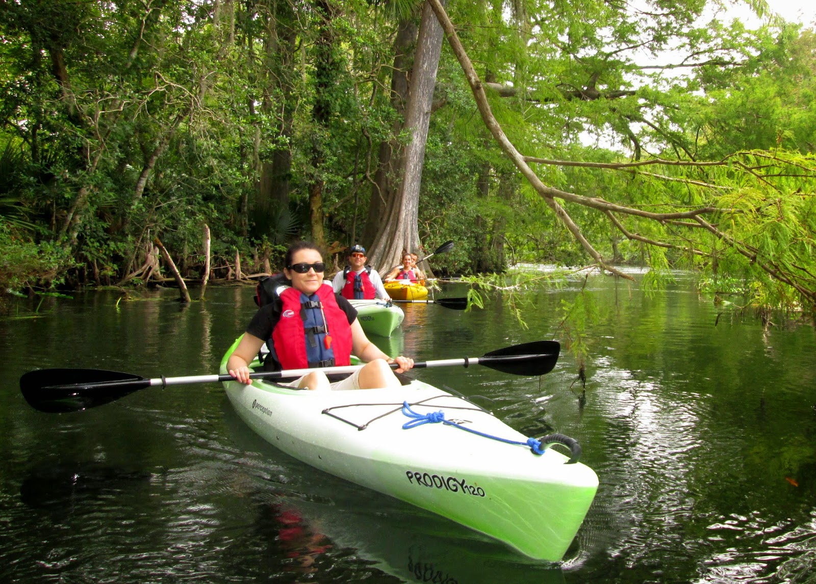 Central Florida Kayak Tours Kayak Paddling near Ocala September 27, 2014