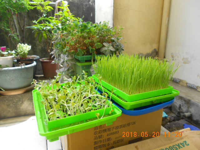 ����,����l,�g�A�V�鸪�ؤl,�V�鸪��Ϥ�,�V�鸪��,�V�鸪,�V�鸪�l,�V�鸪�ؤl,���L�Q�V�鸪�ؤl,�V�鸪��ؤl