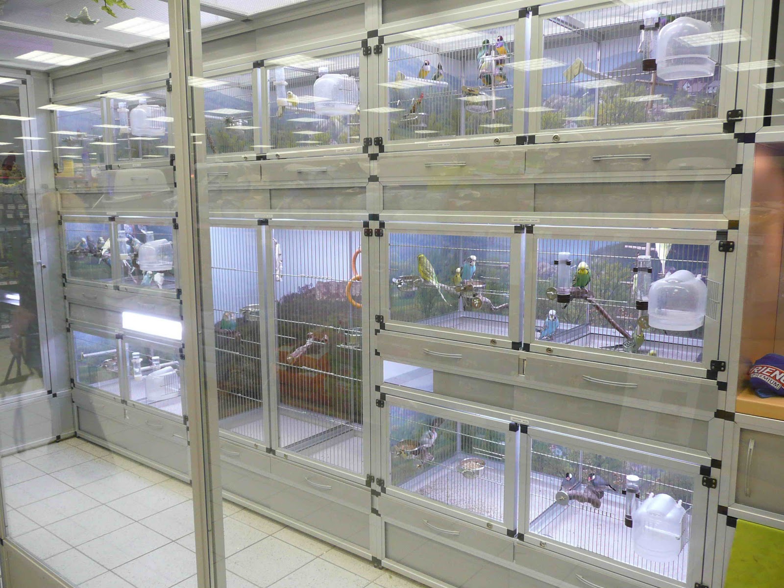 самый большой зоомагазин в москве с птицами. самый большой зоомагазин. самый большой зоомагазин. зоомагазин в торговом центре. барбос зоомагазин семеновская.