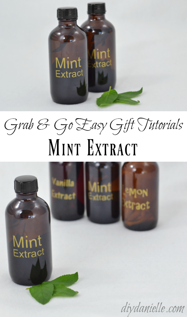 How to Make Mint Extract DIY Danielle