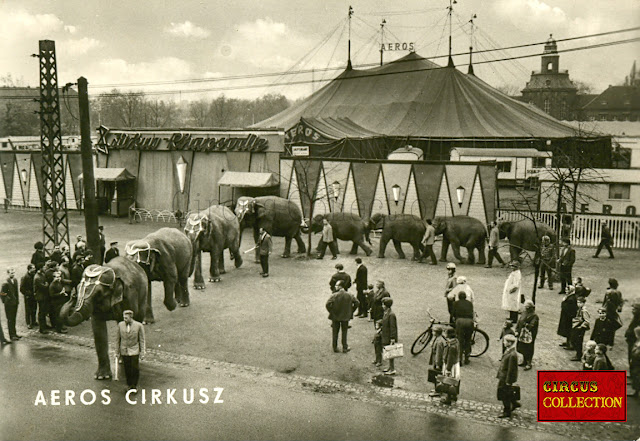 chapiteau, façade du cirque et parade des éléphants 