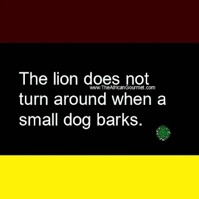 The lion does not turn around when a small dog barks.