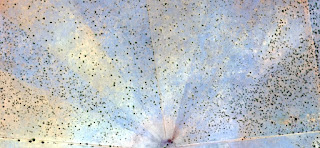 tribute to Miró,nature imitating art,abstract landscapes of deserts of Africa,Abstract Naturalism,abstract photography deserts of Africa from the air,abstract surrealism, forms of human work in desert tribute to Miró,nature imitating art,abstract landscapes of deserts of Africa,Abstract Naturalism,abstract photography deserts of Africa from the air,abstract surrealism, forms of human work in desert