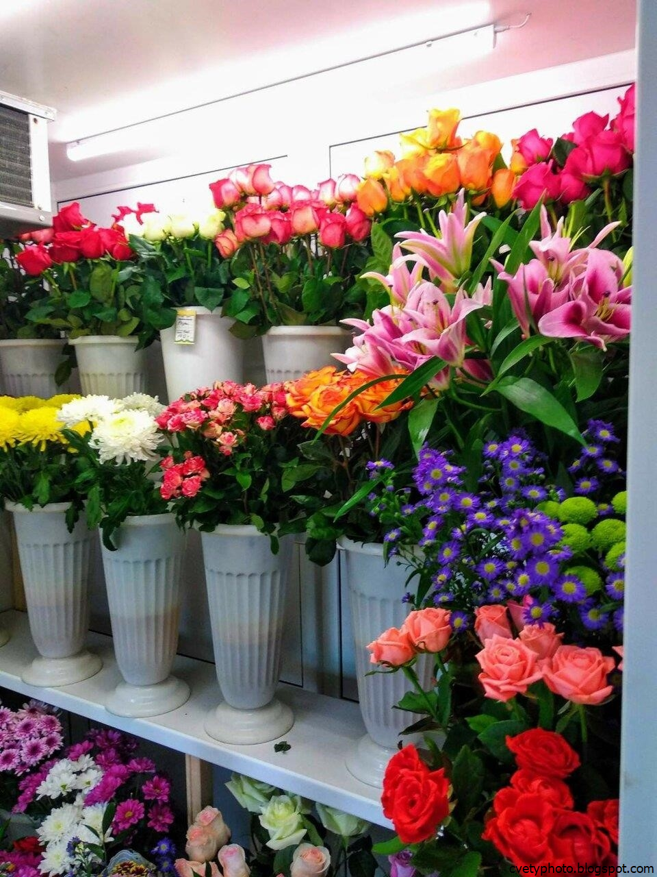 Цветочный магазин каменск. Цветы в цветочном магазине. Цветы магазинные. Ассортимент цветочного магазина. Цветы в цветных магазина.
