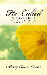 56 Days of Studies & Reflections with the Words of Christ