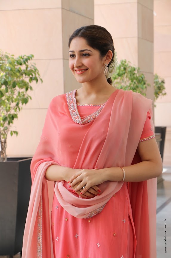 Sayyeshaa Saigal at Kadaikutty Singam Success Meet