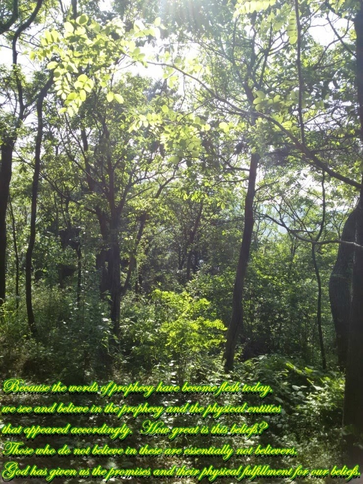 Shincheonji, Eternal Gospel: Shincheonji Quotes: Beliefs and Deception