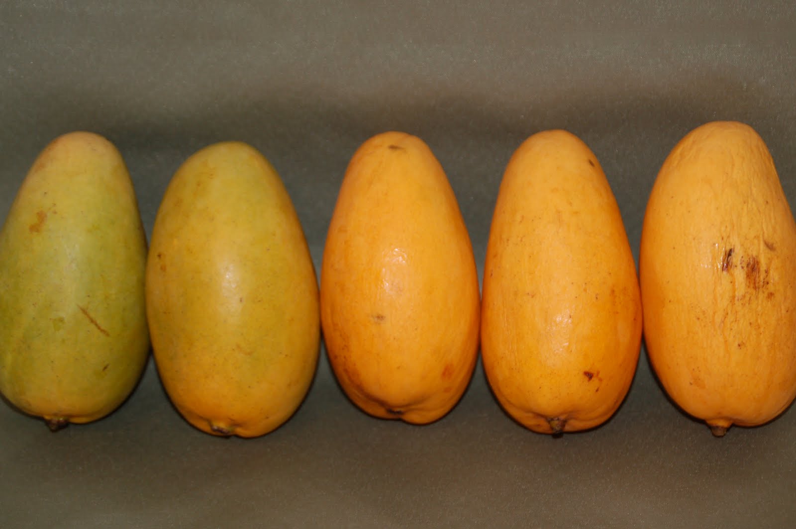 Art is in the kitchen Manila Mango Scorpacciata