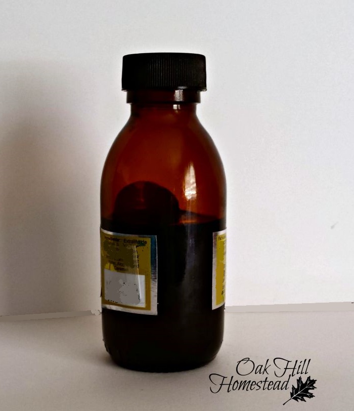 How to Make Mullein Oil Ear Drops Oak Hill Homestead