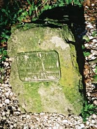 One of the stones in Dead mans Wood
