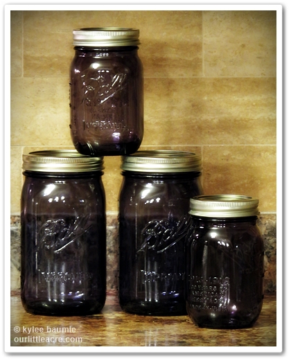 http://www.freshpreservingstore.com/ball-heritage-collection-pint-jars-set-of-6/shop/632810/