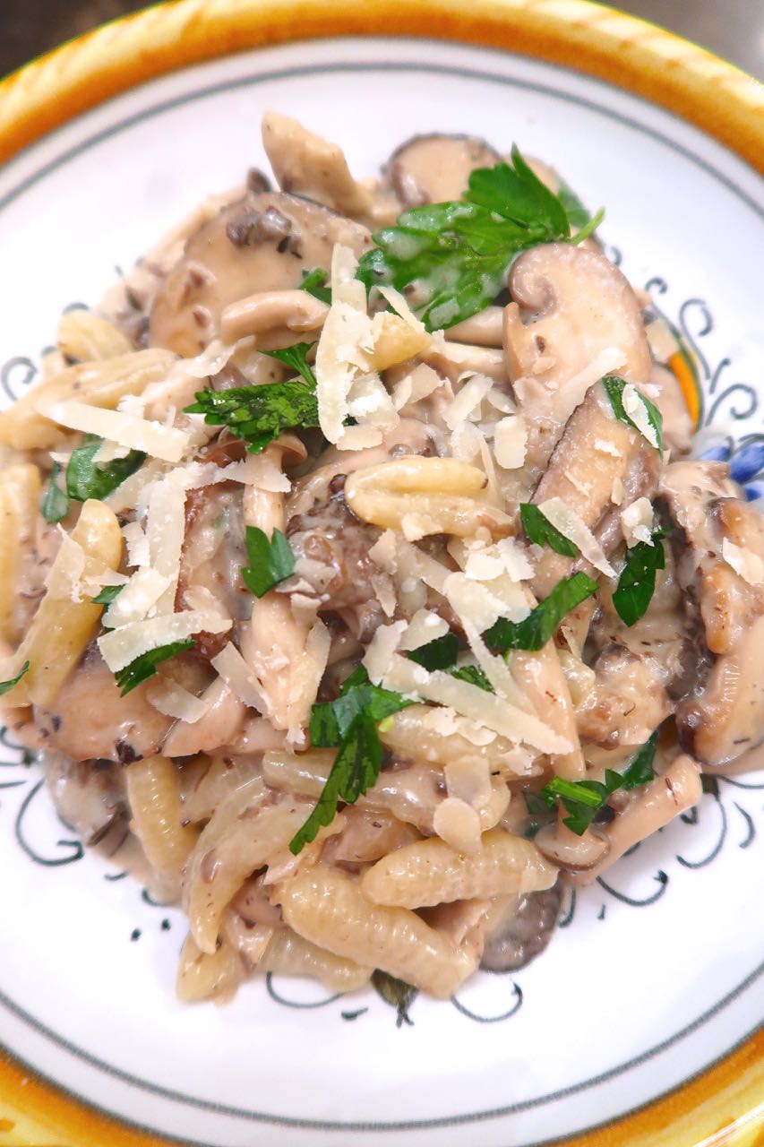 Scrumpdillyicious Cavatelli with Wild Mushroom & Brandy Cream Sauce