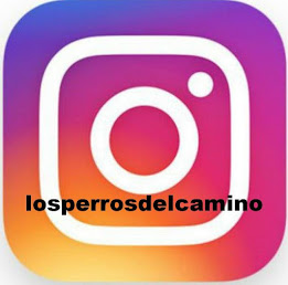 Siguenos en Instagram