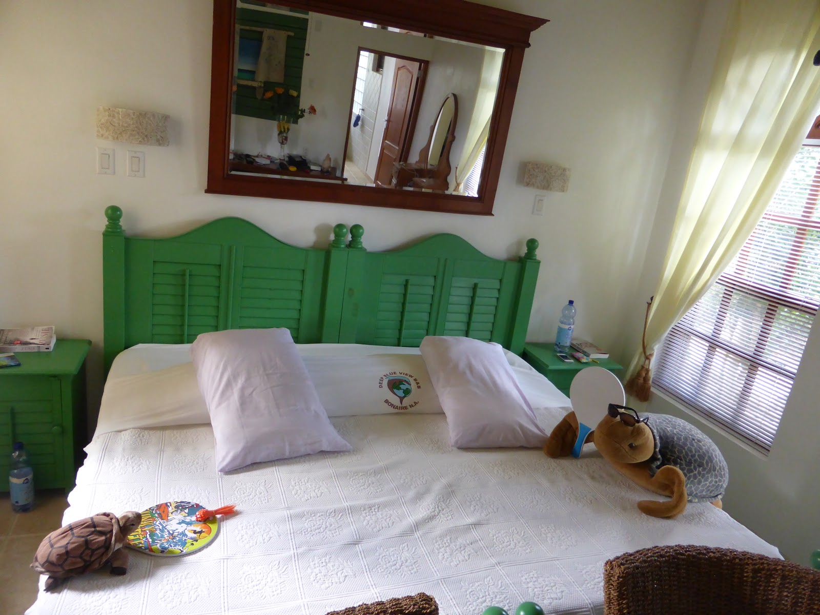 Holidays Diving Dreaming: 5th Time Bonaire