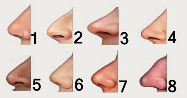 Fakta Hidung  Menakjubkan 8 Bentuk Hidung  Ini Bisa Ramal 
