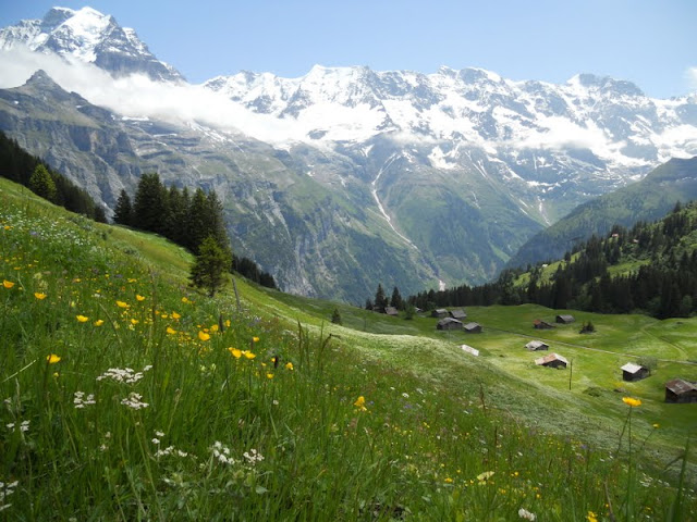 Snowcapped mountains and houses along the North Face Trail near Mürren