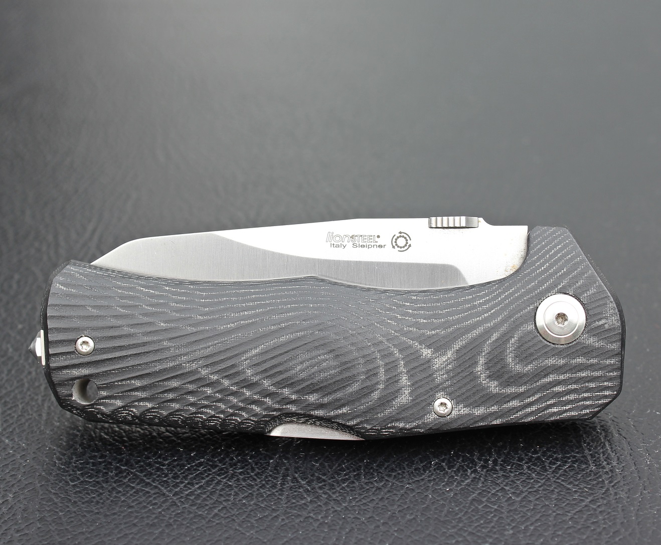 Knivigt värre Knife Review Lionsteel TM1