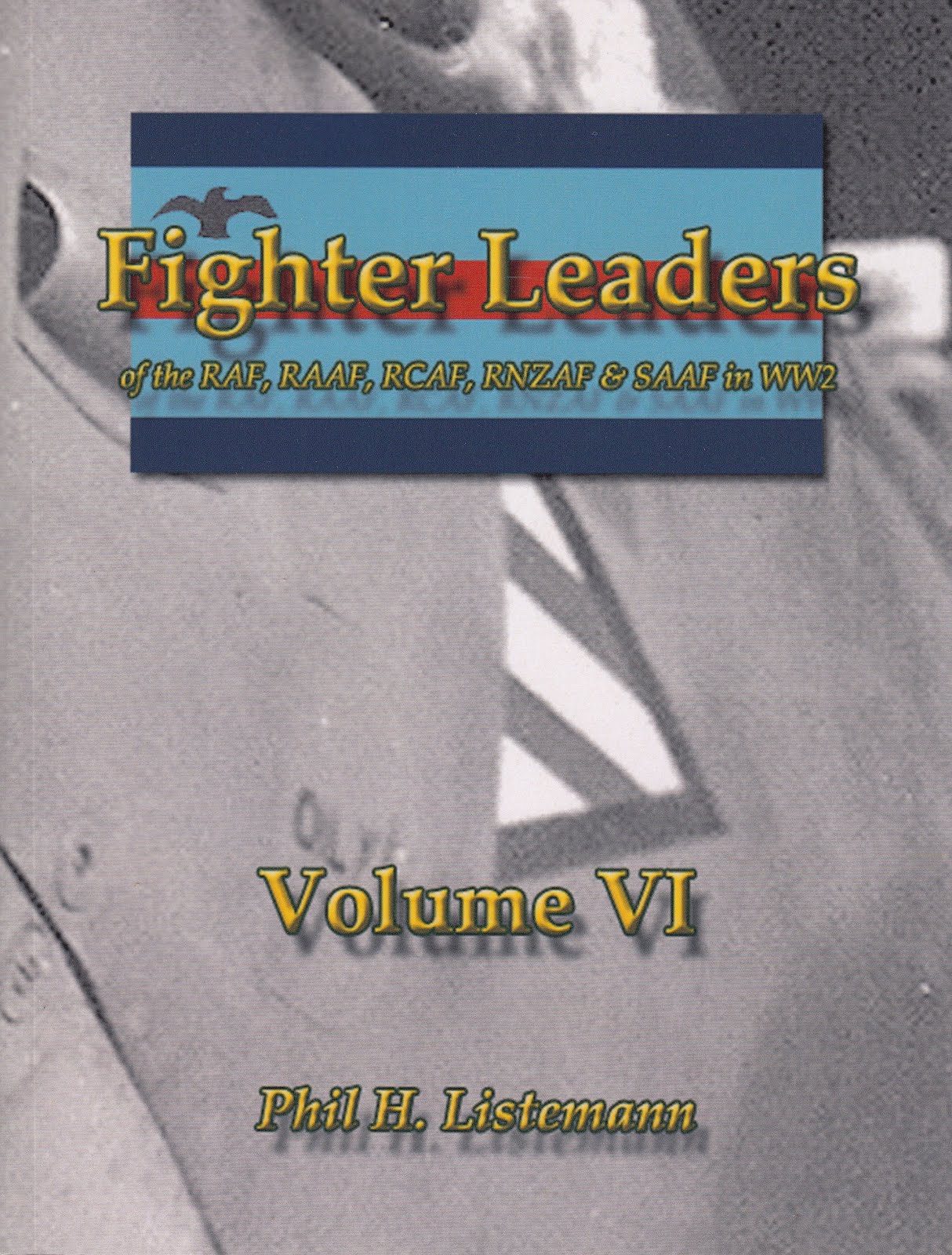 Fighter Leaders VI