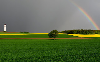 Wallpaper met grasveld en regenboog