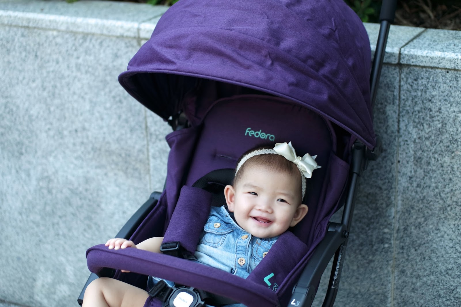 fedora l5 stroller review