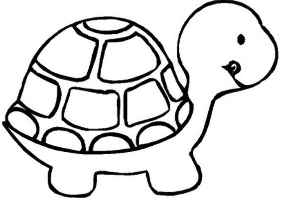 Tranh tô màu con rùa cho bé ba tuổi « in hình này