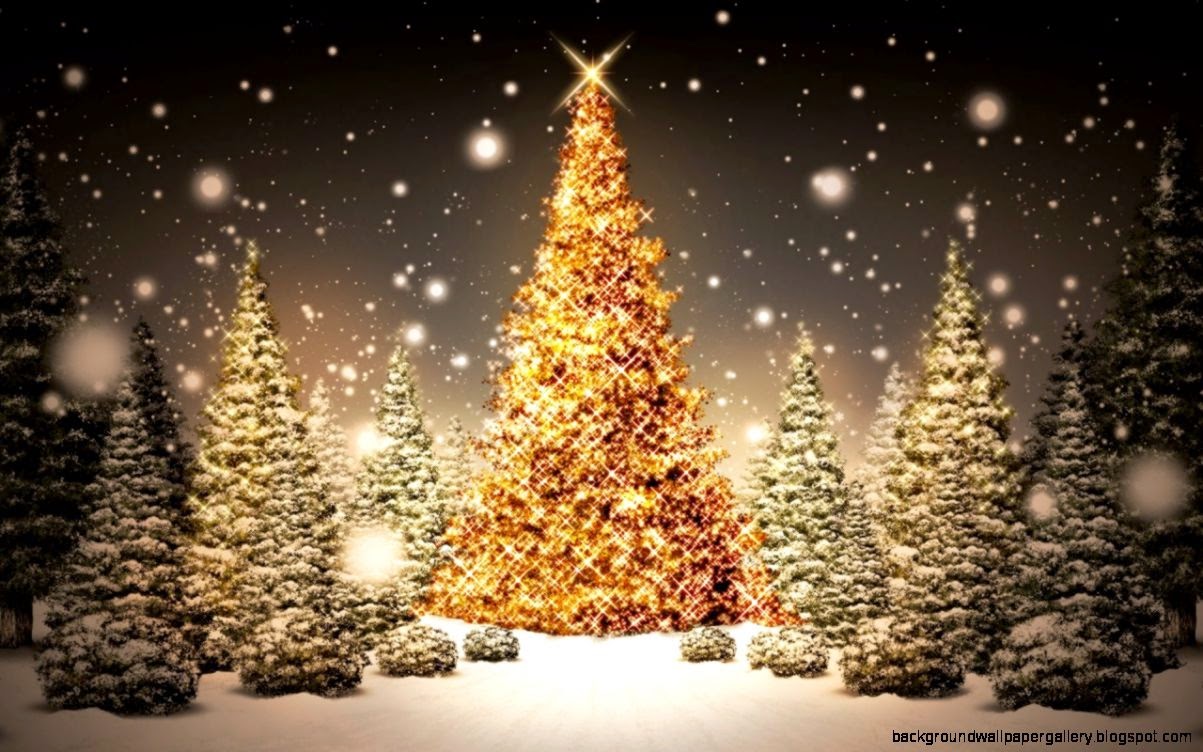 Merry Christmas Tree Beautiful HD Wallpaper 2012 2013  All HD