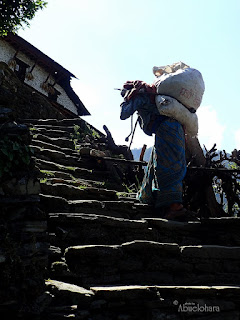 Las mujeres en Nepal cargan habitualmente enormes cargas y el camino es duro. Trekking_21_dias_en_Nepal_Fotografias