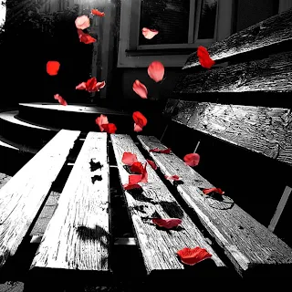 صور خلفيات ايباد رومانسية وورود حمراء