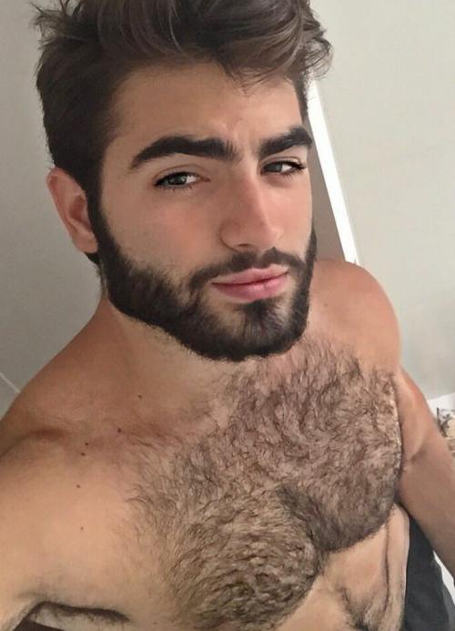 car sex novara uomini gay pelosi car sex novara uomini gay pelosi