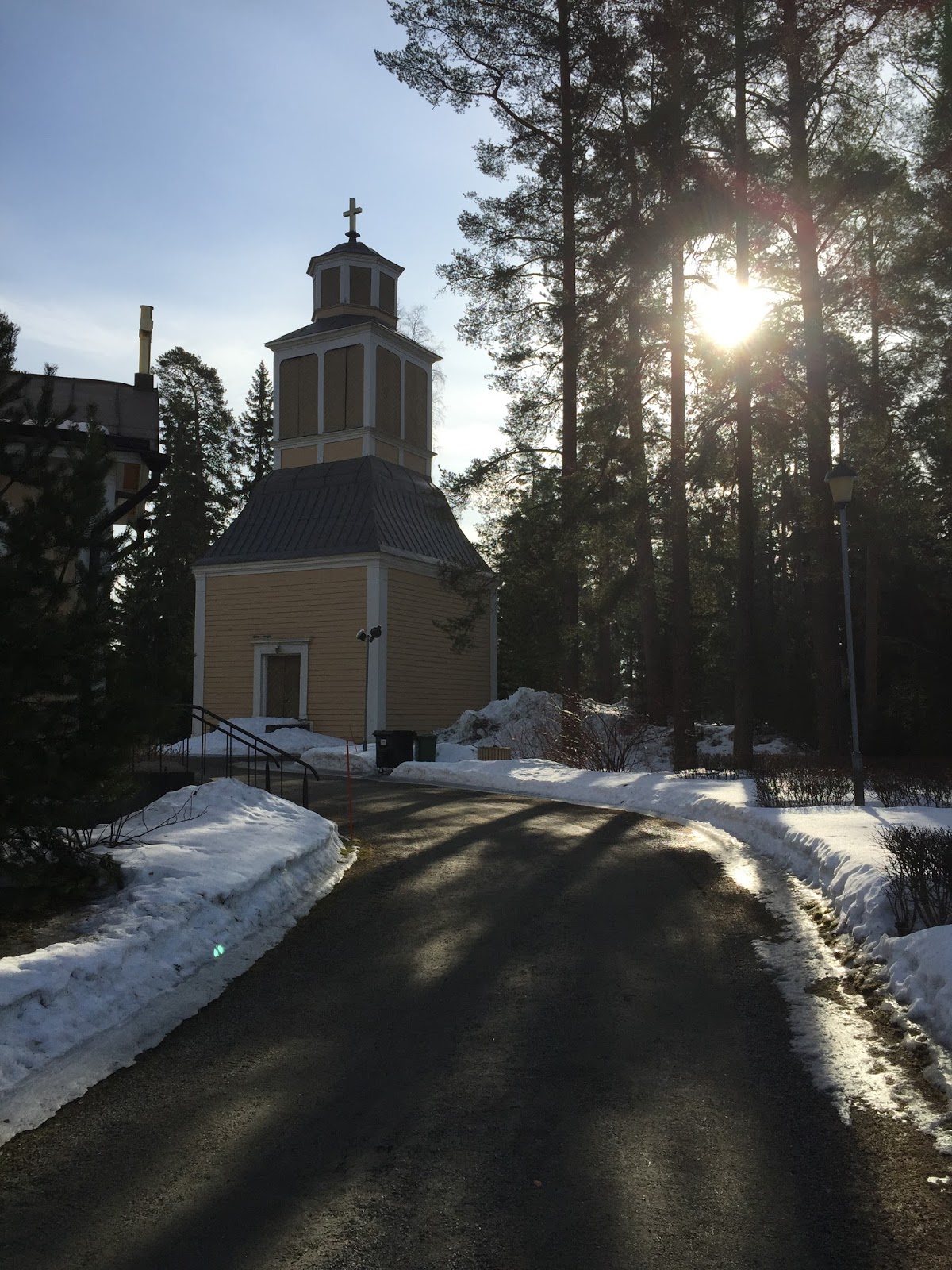 Teacher, Traveler & a Rhodesian Ridgeback More from Tuusniemi, Finland