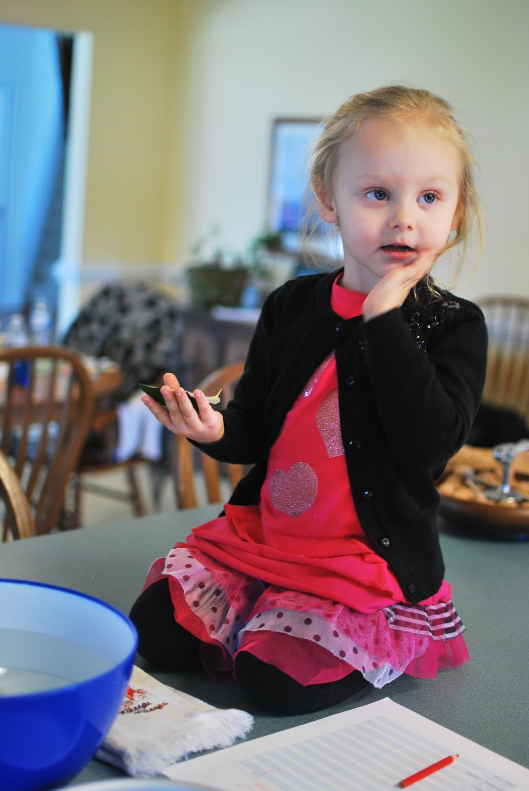 My Shadow In Time: Sink or Float: A fun preschool learning activity