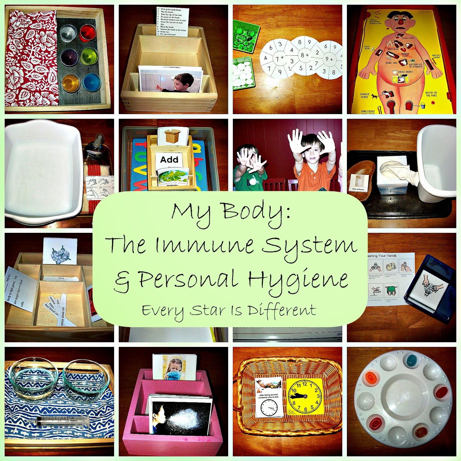 The Body: The Immune System and Personal Hygiene