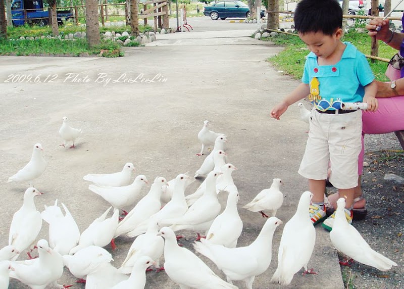 豐之谷濕地公園|韋恩鮮茶舖|近花蓮壽豐理想大地渡假飯店