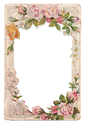 frames frame flower borders rose clipart roses digital border flowers kittens transparent printable certificado antique dogwood garden cats batismo pink