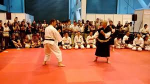 Shorinji Kempo vs  Taekwondo Forum SH Terate Pencak 