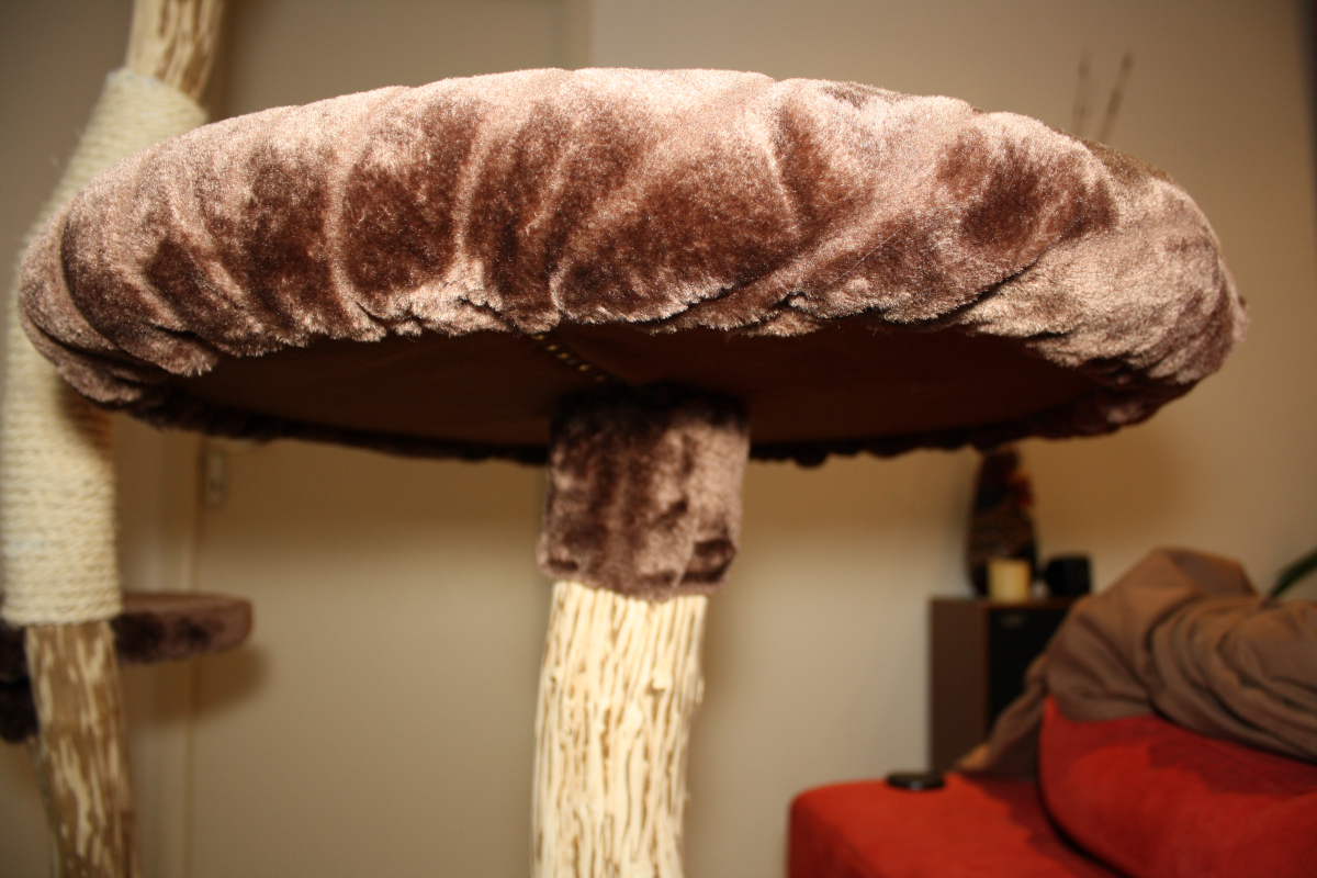 Vends arbre à chat en bois naturel