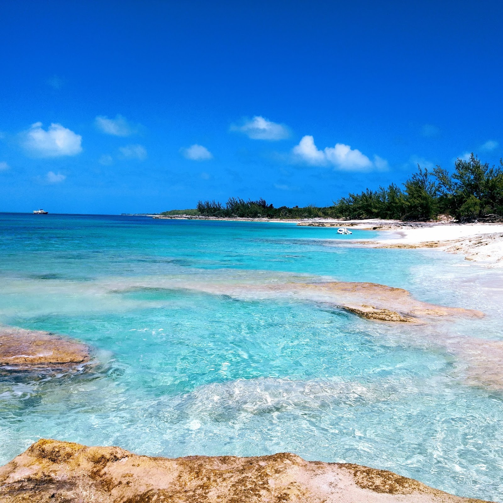 TIME OUT ROSE ISLAND