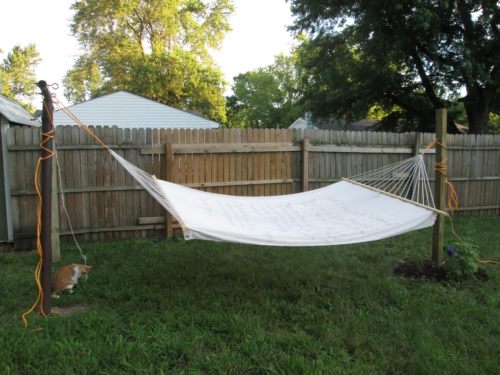 and kitty makes three Project Hammock