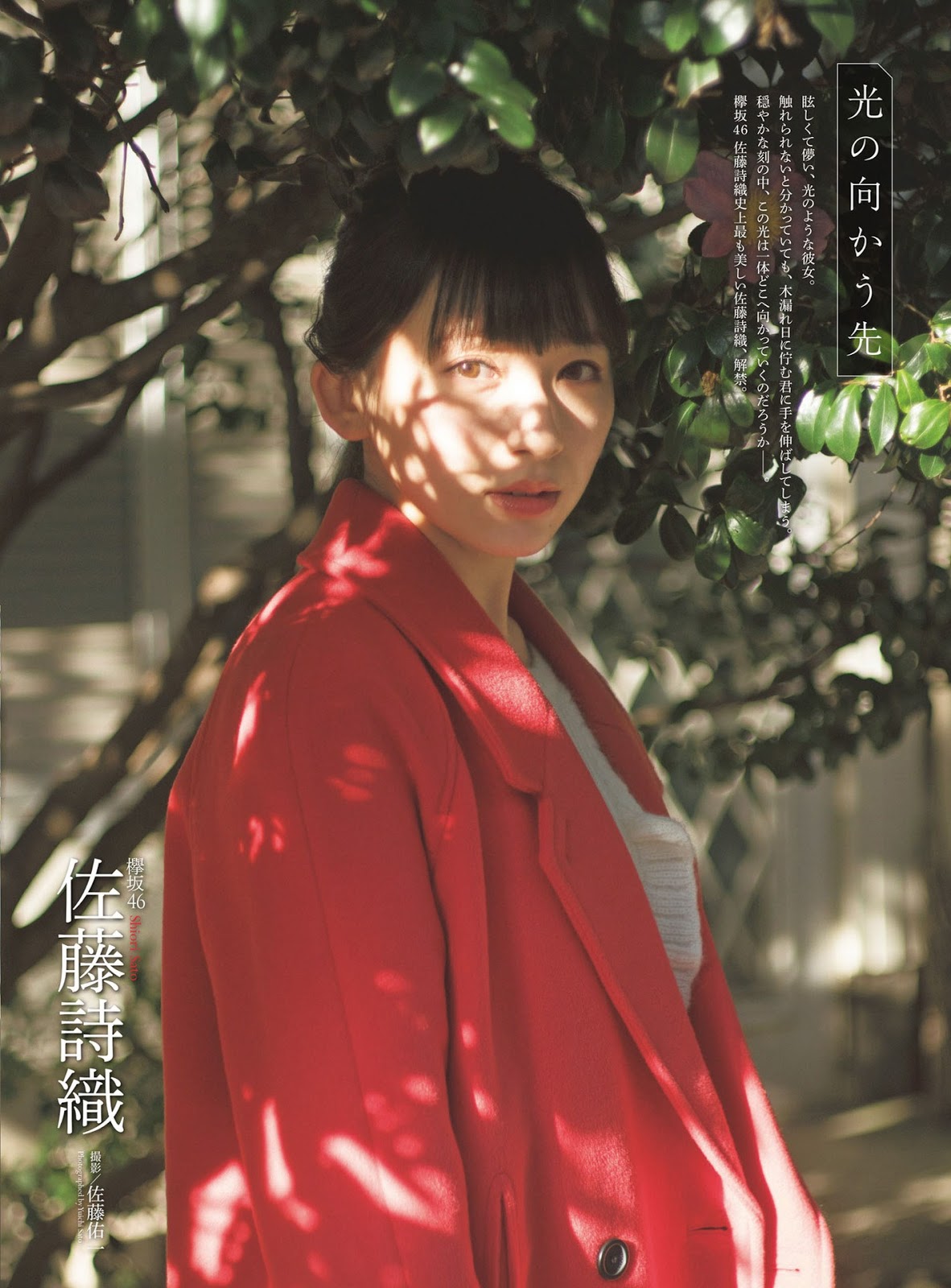 Shiori Sato 佐藤詩織, ENTAME 2019 No.02 (月刊エンタメ 2019年2月号)